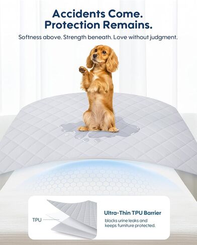 KASBAH Cooling Blanket for Dogs Pee-Proof Dog Blanket for Couch Bed Car Seat Protect Washable Reversible Design Q-MAX>0.5 Dog Cool Blankets in 3 Sizes for Small, Medium & Large Dogs in Saudi Arabia
