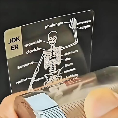 Deck Body ، أوراق تشغيل سطح الجسم ، صورة ثلاثية الأبعاد شفافة فريدة من نوعها لورق لعب التشريح البشري ، هدية بطاقة بلاستيكية مقاومة للماء لمحبي البطاقات (1pcs) in Kuwait