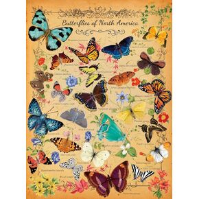 500 Piece Puzzles for Adults Blue-Green Hummingbird 20.5 x 15 Inch 500 Piece Jigsaw Puzzles for Kids Adults Puzzles 500 Pieces for Adults Holiday Educational Challenge Toy
