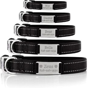 Personalized Dog Collar - Custom Engraved ID Tags with Reflective Material - Small Medium or Large Size with Name Plate (X-Small, Pink)