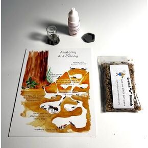 Premium Ant Farm Food, includes dandelion, wheat grass, flax, and chia seeds plus watering tower and seed dish along with ant Quench drink and ant colony infographic.