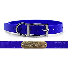 Outdoor Dog Supply's 3/4" Wide Solid D Ring Dog Collar Strap with Custom Brass Name Plate (Pink)