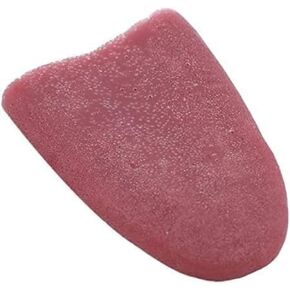 Realistic Fake Tongue Gross Jokes Prank Magic Tricks Halloween Horrific Magicians Props Fashion Processing Magic Kits