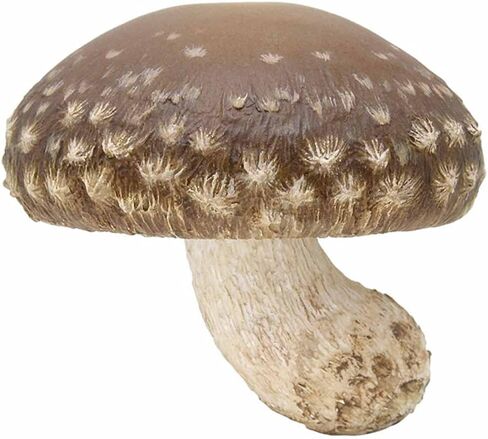 فطر سحر مطاطي ناعم أعلى مخططات الأعمى - سحر جميل وخفيف الوزن - يضم الصندوق الأعمى 1 من 8 تماثيل قابلة للتحصيل - تصميم ياباني أصيل - مصنوع من بلاستيك متين in Saudi Arabia