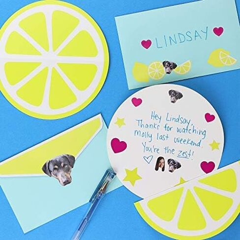 Custom Face Stickers, Pet Stickers, Stickers of Your Face, Elite Sampler Sheet - Custom Gift in Saudi Arabia