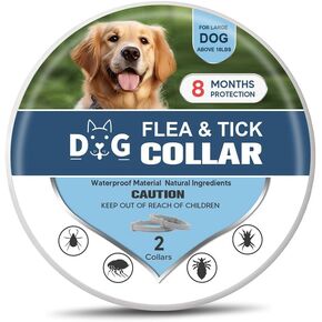 Dog Collars, Naturally