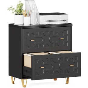 LITTLE TREE 2-Drawer File Cabinet, Under Desk Office Storage Cabinet for Letter Size File Folders with Tabs, Printer Stand, Fitting A4, Modern Home Office Organizer, Black