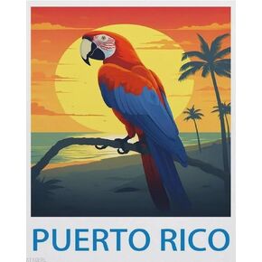 XTXGERL Easy Paint by Numbers for Adults Beginners, Puerto Rico Vintage Poster, Paint by Number Kit on Canvas for Adults New Painters's Gift DIY Gifts 40x50cm