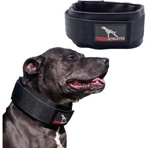 3'' Elite-HD Weighted Working Dog Collar (5LB, Hot Pink)