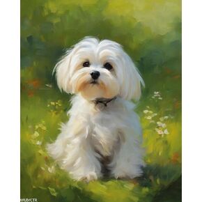 WUIVCTR DIY Filling Oil Canvas Paint by Number Kit Maltese Dog on Grass with Brushes and Acrylic Pigment DIY Canvas Painting for Adults Beginner, 40x50cm, Without Frame