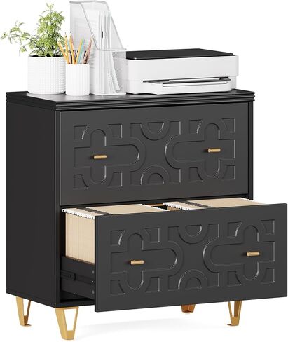 LITTLE TREE 2-Drawer File Cabinet, Under Desk Office Storage Cabinet for Letter Size File Folders with Tabs, Printer Stand, Fitting A4, Modern Home Office Organizer, Black in Kuwait