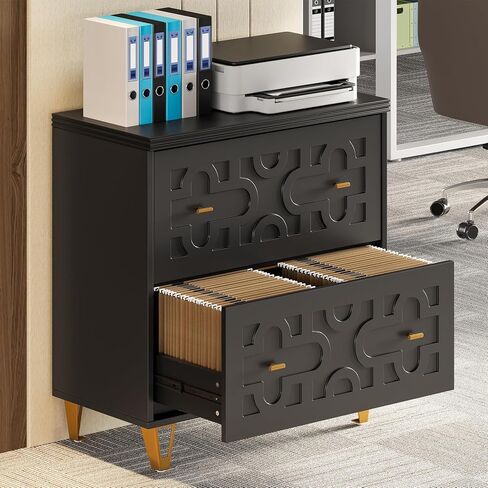 LITTLE TREE 2-Drawer File Cabinet, Under Desk Office Storage Cabinet for Letter Size File Folders with Tabs, Printer Stand, Fitting A4, Modern Home Office Organizer, Black in Kuwait