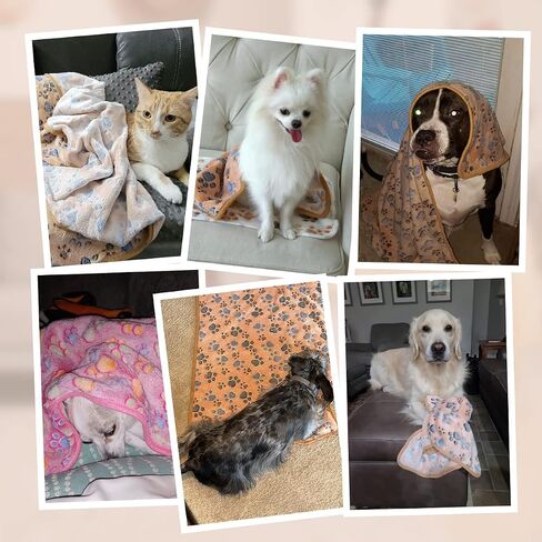 Pet Soft Blankets for Dogs - Fluffy Cats Doggy Blanket for Small Medium & Large Dogs, Cute Print Pet Throw Puppy Blankets Fleece (M, 30 x 20 '') in Saudi Arabia