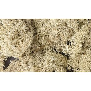 Woodland Scenics L166 N/HO Lichen Natural 1.5 Quarts Train Scenery