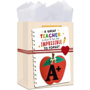 BIZIBAFF Graduation Gift Bag 2025-13" Large Gift Bags with Tissue Paper You Did It Gift Bag for High School College Graduates Class of 2025 Graduation Party Favor Bags
