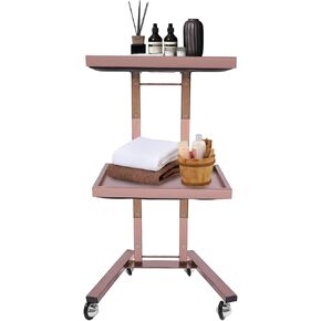 2 Tier Metal Rolling Cart Foldable Salon Tray with Wheels Rolling Tray Salon Trolley Black Utility Carts Stainless Steel Trolley Rolling Cart (Black)