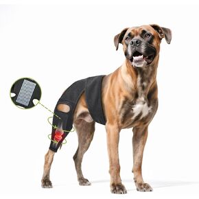 Dog Hip Brace, Knee & Leg Support Brace for ACL Recovery, Ligament Injury - Breathable & Adjustable Dog Leg Brace for Senior Dogs, Post-Surgery Rehabilitation & Mobility Aid(Size M)