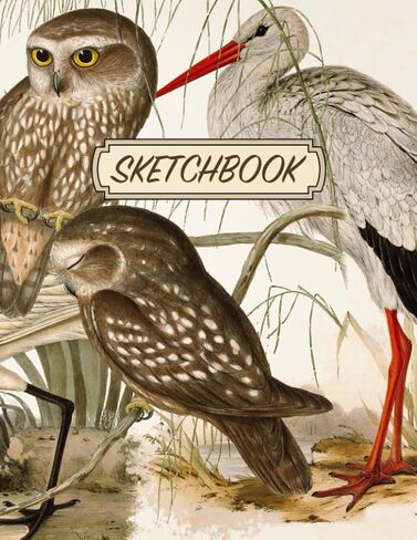 كتاب رسم الطيور: دفتر رسومات ورسومات جمالية | طيور برية عتيقة الغلاف المصور | لوحة الرسم | مجلة كبيرة مع صفحات فارغة للرسم والرسم والدوار والرسومات in Saudi Arabia