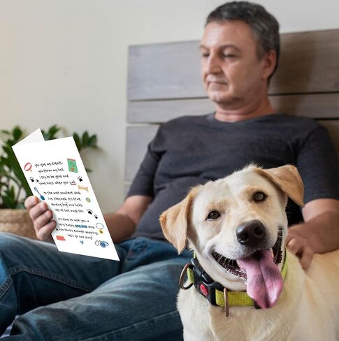 Funny Fathers Day Card for Dad，Fathers Day Card Gifts for Dad from Daughter Son Kids，Humorous Father's Day Cards Gifts with Heartfelt Design - Daddy Bear I Love You BEARY Much in Kuwait