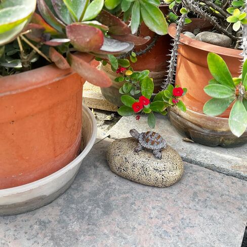 Hide-a-Key Outside Fake Rock, Outdoor Spare Key Holder- Looks & Feels like Real Stone Hidden Storage- Safe for Outdoor Garden or Yard, Hidden Safe Fake Stone (TURTLE) in Saudi Arabia