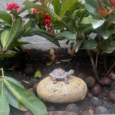 Hide-a-Key Outside Fake Rock, Outdoor Spare Key Holder- Looks & Feels like Real Stone Hidden Storage- Safe for Outdoor Garden or Yard, Hidden Safe Fake Stone (TURTLE) in Saudi Arabia
