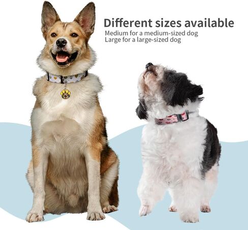 Craft Express Sublimation Blank Dog Collar - Medium and Large Size Collars for Dogs Ready to be Personalized - Set of 4 (Large) in Saudi Arabia