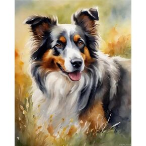 SVINOILER Paint by Number Kits Australian Shepherd Canvas DIY Oil Painting for Adults Beginner with Brushes and Acrylic Pigment 16x20 inch Without Frame