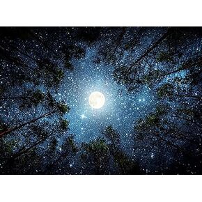 ARPADAMO Diamond Art Kits for Adults,5D Starry Sky Diamond Painting DIY Moonlight Diamond Art Diamond Painting Kits for Adult,Round Full Drill Diamonds, Diamond Art Kits for Home Decor-12x16inch