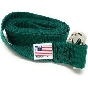 Standard Length Nylon Leash (8 Foot, Green)