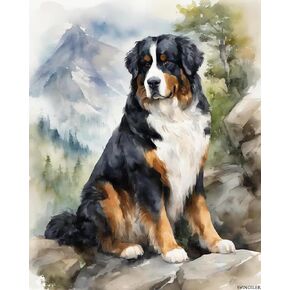 SVINOILER DIY Oil Painting Paint by Number Kit for Adults Beginner Bernese Mountain Dog DIY Canvas Painting by Numbers Arts Craft for Home Wall Decoration, 40x50cm