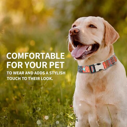 Customizable Dog Collar with Name - Polyester Custom Collar for Dog - Adjustable, Comfortable, Durable and Vibrant Pet Neckband (Pattern-C, XS (8-11.5 inches)) in Saudi Arabia