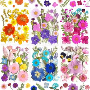 33Pcs Pink Pressed Dried Flowers for Resin, Real Natural Bulk Assorted Dry Floral Leaves for DIY Art Crafts, Epoxy Molds, Jewelry, Soap, Candle Making, Nails Decors