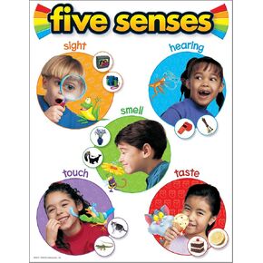 TREND Five Senses Learning Chart, Classroom Decor, 17" x 22"