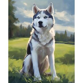 SVINOILER DIY Paint by Numbers for Adults Beginner, Siberian Husky Dog on Grass Paint by Numbers Kit Christmas Painting by Numbers for Adults, 16" x 20" Drawing Paintwork with Paintbrushes