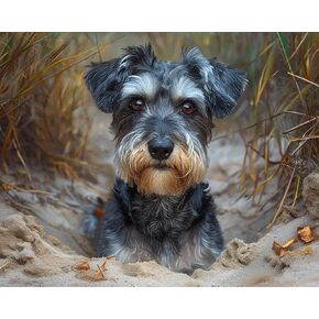 VNUIEHG DIY Paint by Number Kits for Adult Beginner, Schnauzer Burrowing in Sand, Paint by Numbers Kits for Adults, Canvas Painting Gift Kit for Modern Home Wall Decor, 40x50cm, Bright
