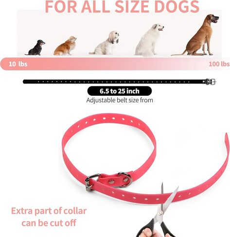 for Dog Collar for Garmin Compatible 3/4" Strap for Garmin PT10 TB10 Delta Sport Delta for Petsafe,PATPET,Sportdog,Dogtra etc straning Collar, Buckle, Adjustable, watherproof in Kuwait