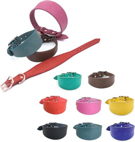 Wide Padded Dogs Collar Genuine Leathers Puppy Collars for Lurchers Italian Greyhounds Comfortable Pet Dogs Accessories in Saudi Arabia