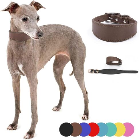 Wide Padded Dogs Collar Genuine Leathers Puppy Collars for Lurchers Italian Greyhounds Comfortable Pet Dogs Accessories in Saudi Arabia