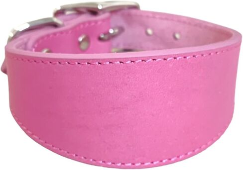 Wide Padded Dogs Collar Genuine Leathers Puppy Collars for Lurchers Italian Greyhounds Comfortable Pet Dogs Accessories in Saudi Arabia