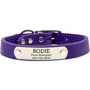 dogIDs Personalized Soft Designer Leather Dog Collar - Adjustable, Odor Resistant, Built-in Custom Laser Engraved Rivet on Name Plate - Flamingo Pink - 1 in Wide x 21 in Neck