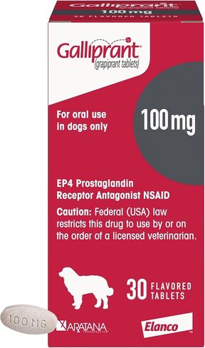Galliprant Osteoarthritis Pain & Inflammation Control for Dogs | 60 mg | 15 Flavored Tablets in Saudi Arabia