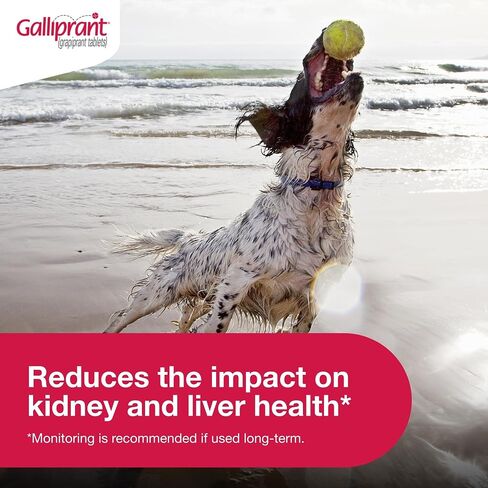 Galliprant Osteoarthritis Pain & Inflammation Control for Dogs | 60 mg | 15 Flavored Tablets in Saudi Arabia