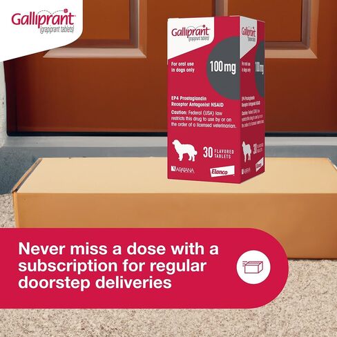 Galliprant Osteoarthritis Pain & Inflammation Control for Dogs | 60 mg | 15 Flavored Tablets in Saudi Arabia