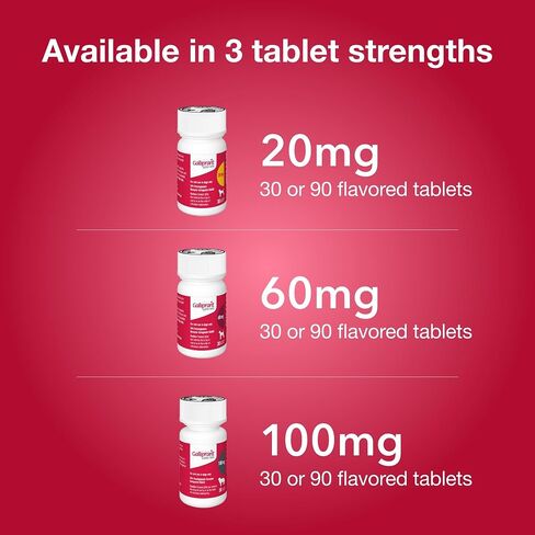 Galliprant Osteoarthritis Pain & Inflammation Control for Dogs | 60 mg | 15 Flavored Tablets in Saudi Arabia