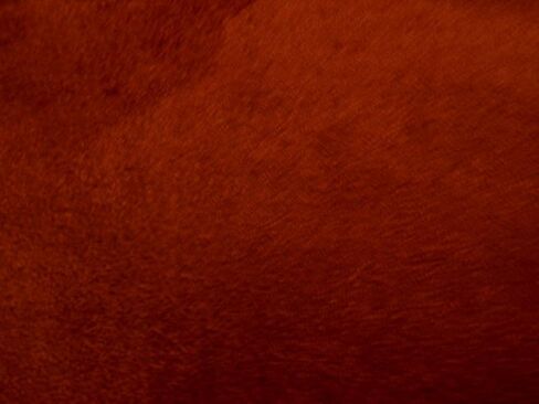 Upholstery Micro Suede Headliner Fabric by The Yard (Purple) in Saudi Arabia