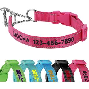 Stainless Steel Chain Martingale Collar Personalized - Custom Martingale Nylon Dog Collar Customized Training Martingale Dog Collars Embroidered with Name and Phone Number for Medium Large Dogs