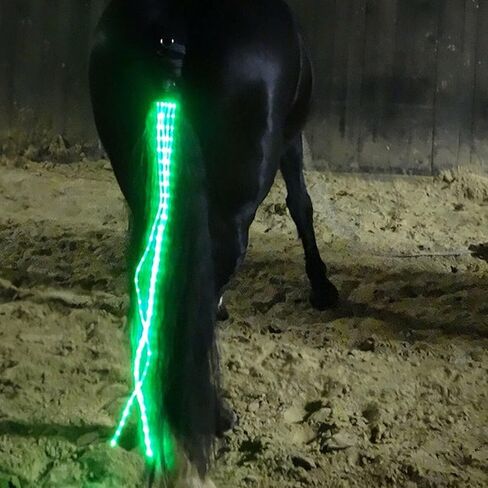 معدات الحصان ركوب الخيل زخارف الفروسية LED ضوء وامض شريط تسخير الرياضة في الهواء الطلق USB تهمة ركوب الزينة (الأزرق) in Kuwait