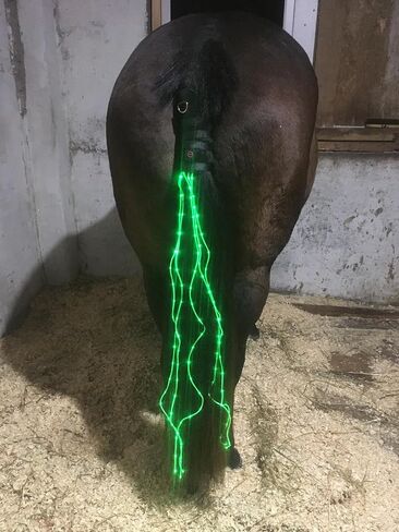 معدات الحصان ركوب الخيل زخارف الفروسية LED ضوء وامض شريط تسخير الرياضة في الهواء الطلق USB تهمة ركوب الزينة (الأزرق) in Kuwait