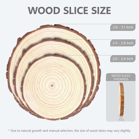 2 Inch Wood Slices Discs Ornaments for Crafts, 30 Pcs 2-2.4 inches Diameter 0.2 inches thickniss in Saudi Arabia