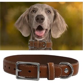 Genuine Leather Dog Collar, Heavy Duty Dog Collar with Sturdy Metal Buckle, Thick Collar for Walking, Hiking, Training, Hunting (L: Fit 16"-20.5" Neck)
